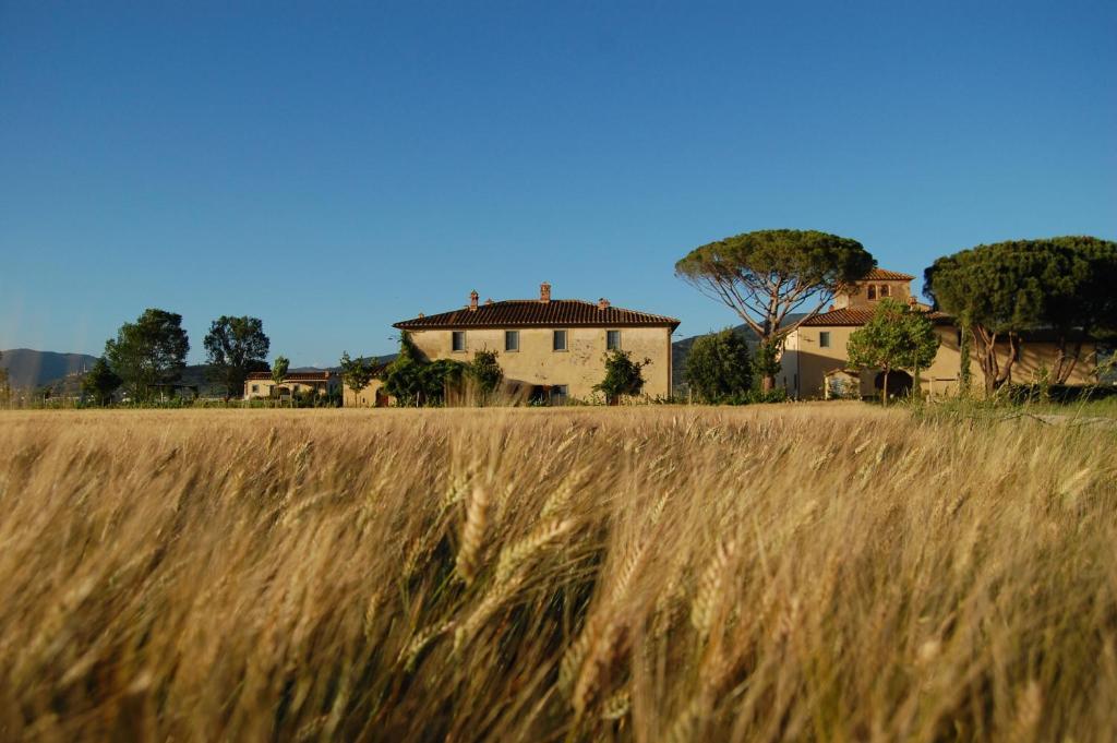 Cortona Resort-Le Terre Dei Cavalieri Exterior foto